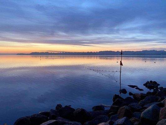 Umgebungsfoto - die Schlei