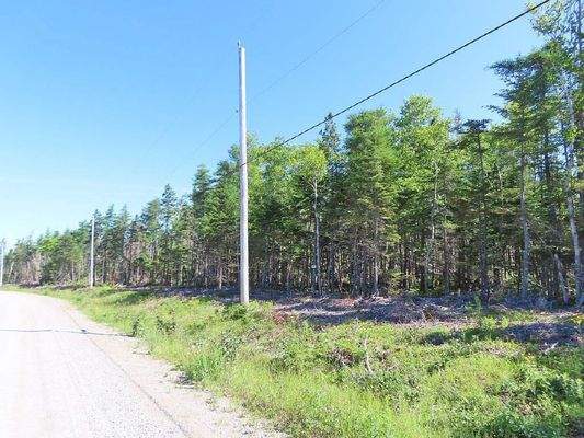 Cape Breton - Big Pond - East Bay Hills - Großzügi