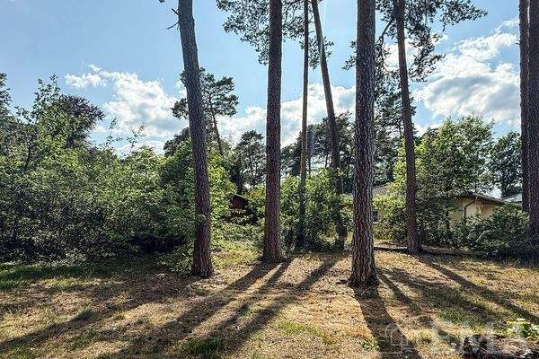 Blick auf das Grundstück