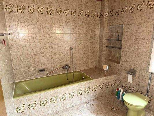 EG_Tageslichtbad mit Badewanne