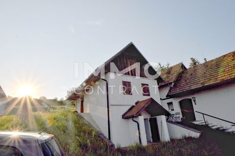 Gaas Bauernhöfe, Landwirtschaft, Gaas Forstwirtschaft