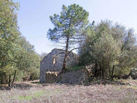 Luxus Anwesen | Rapolano Terme