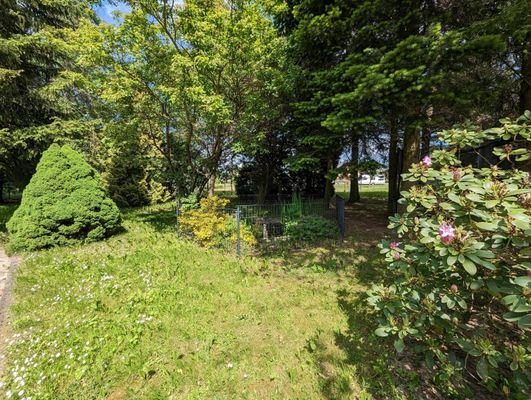 Garten mit Teich
