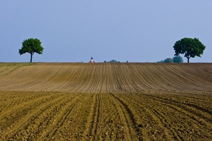 Ostrach Bauernhöfe, Landwirtschaft, Ostrach Forstwirtschaft