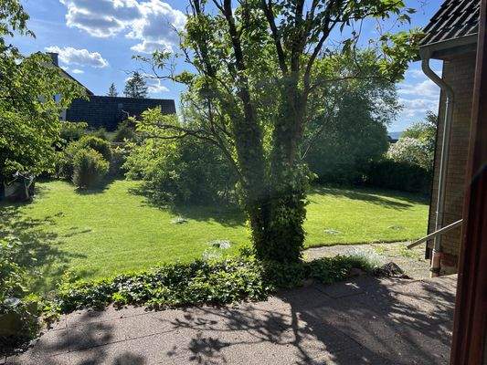 Blick in den Garten