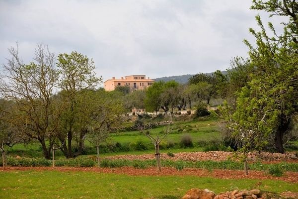 Finca in San Lorenzo