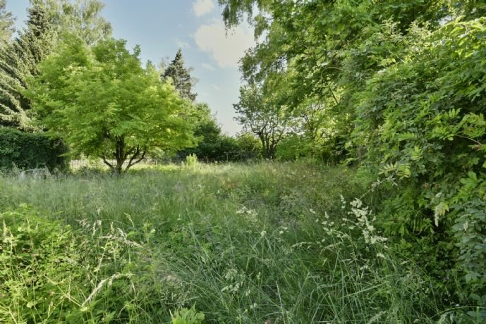 Großzügiges Baugrundstück mit Blick ins Grüne