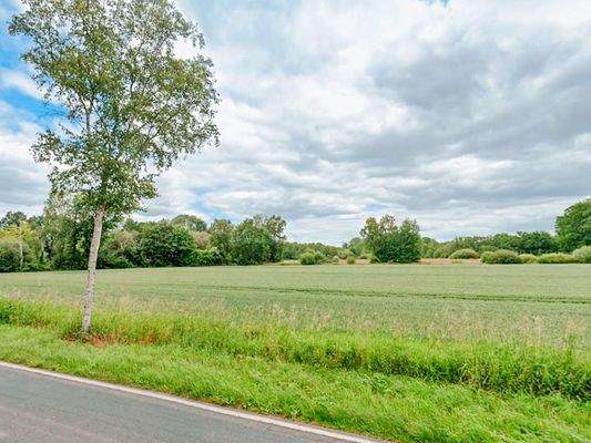 Landwirtschaftliche Fläche