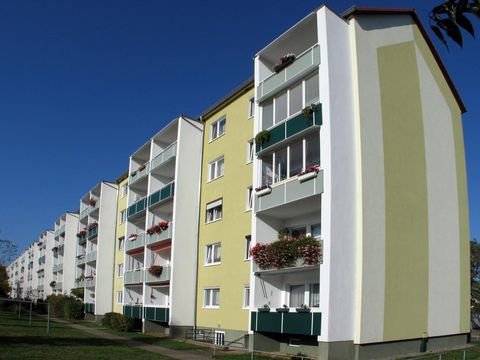 Riesa Wohnungen, Riesa Wohnung mieten