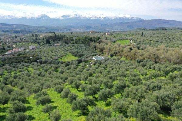 Kreta, Kalyves: Weitläufiges Grundstück mit Meerblick zu verkaufen