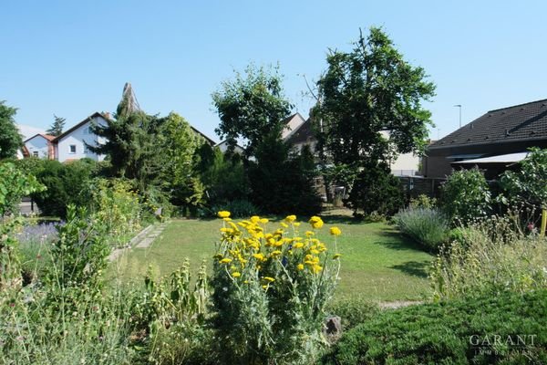 Blick-von-der-Terrasse