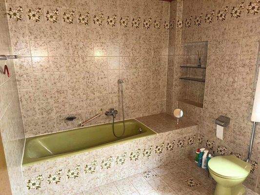 EG_Tageslichtbad mit Badewanne