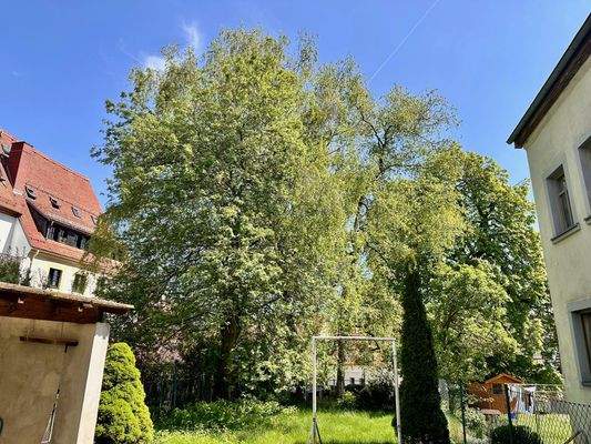 Eine grüne Oase im Stadtkern