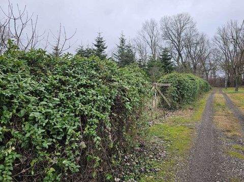 Dunakiliti Grundstücke, Dunakiliti Grundstück kaufen