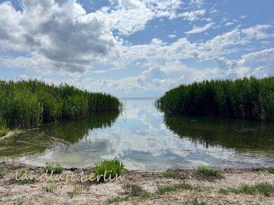 Badestelle am Bodden, 500 m vom Grundstück entfer