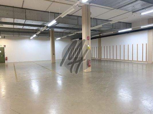 INFOS UNTER: 06171-586000