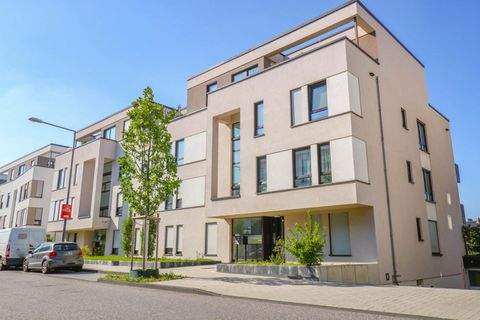 Köln-Rodenkirchen Wohnungen, Köln-Rodenkirchen Wohnung mieten