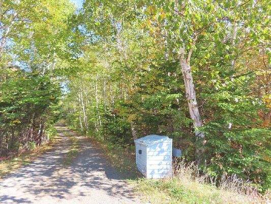 Cape Breton - Bras d`Or Lake - Wunderschönes Misch