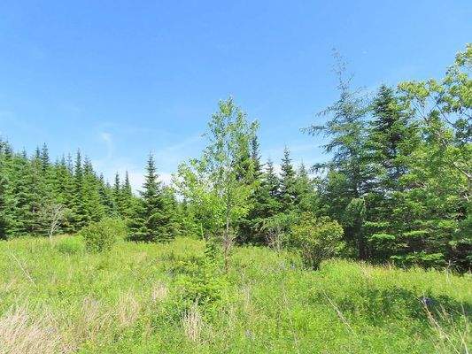 Cape Breton - Soldiers Cove - 13,6 Hektar-Areal mi