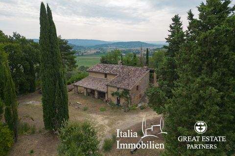 Cetona Häuser, Cetona Haus kaufen