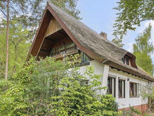 Reetdachhaus seitliche Ansicht