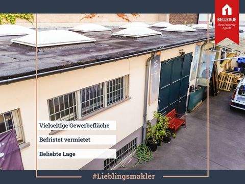 Köln / Sülz Halle, Köln / Sülz Hallenfläche