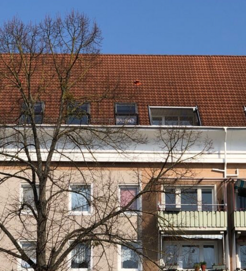 Neubrandenburg Wohnungen, Neubrandenburg Wohnung kaufen