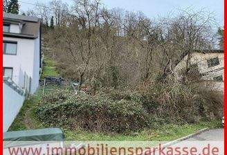 Platz für Ihr Traumhaus!