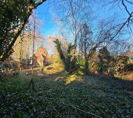 Rückwärtiger Garten