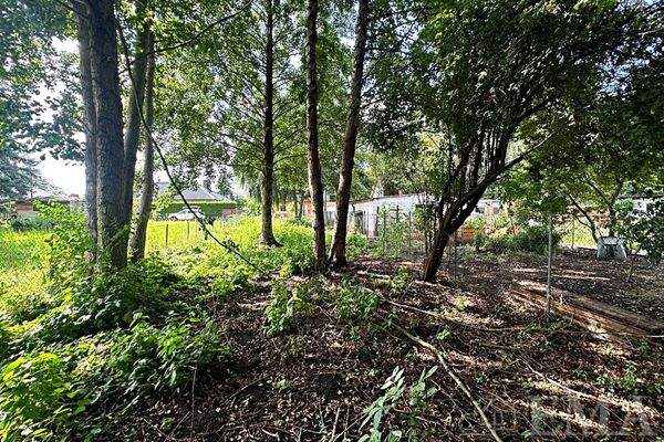 Blick vom Grundstück