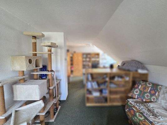 Großer Hobbyraum/Büro DG