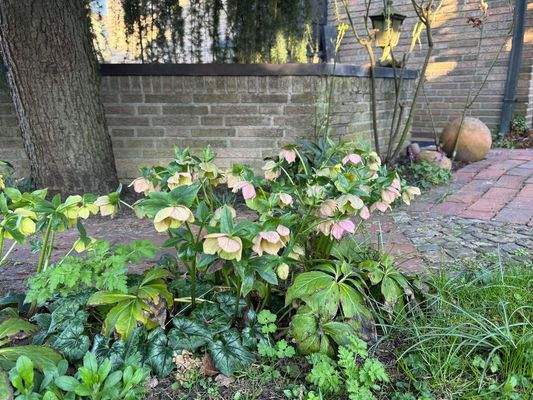 Die besonderen Momente im Garten