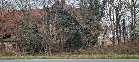 Kirchlinteln Häuser, Kirchlinteln Haus kaufen