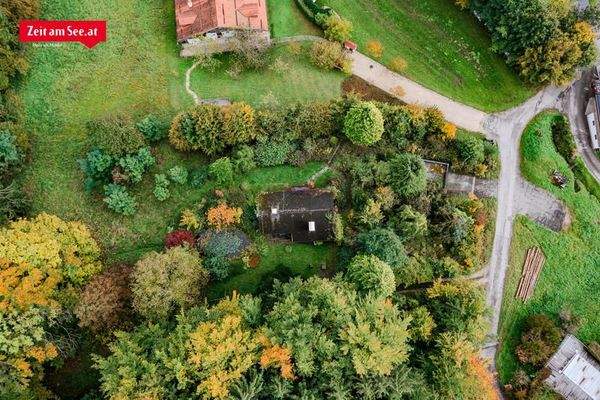 Leben am Waldrand mit Aussicht