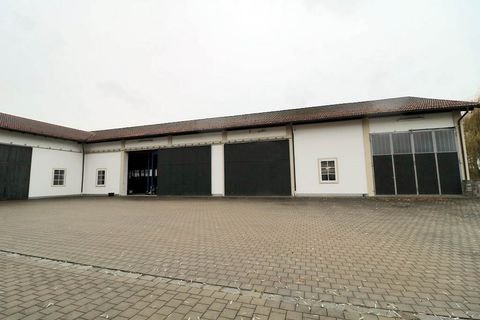 Mauern Halle, Mauern Hallenfläche