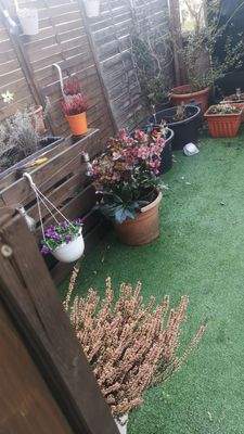 WhatsApp Image 2026-01-29 at 13.10.25 (1).jpeg