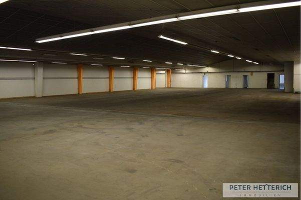 Größere Halle Bild 1