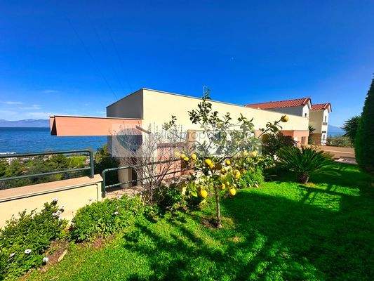 c9d55d22354b4398a7ca7561dcadf536-original