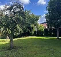 d3335cd6-ef77-4bf1-8251-eeed6850b9eb-1952038934.jp