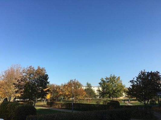 Bürgermeister-Alexander-Str 8 Blick auf