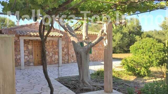 Finca Anwesen in Cas Concos