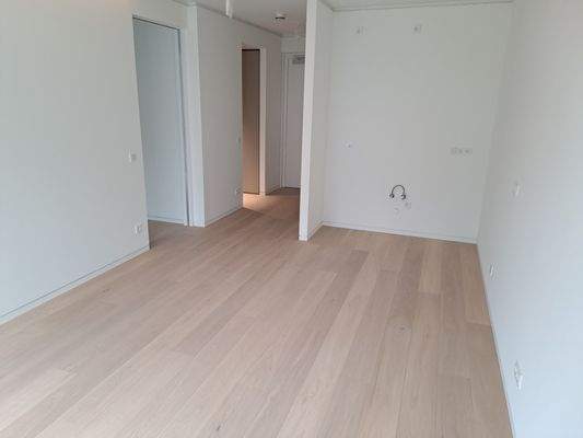 Wohn-/Esszimmer/Küchenbereich