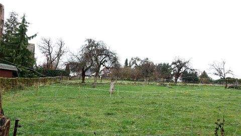 Weißenberg Grundstücke, Weißenberg Grundstück kaufen