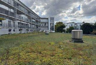 Blick vom Balkon