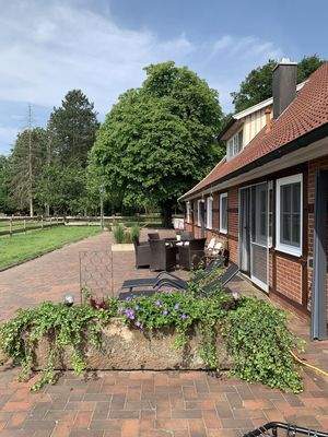 Mit der Sonne auf den Terrassen wandern und Pferde beobachten