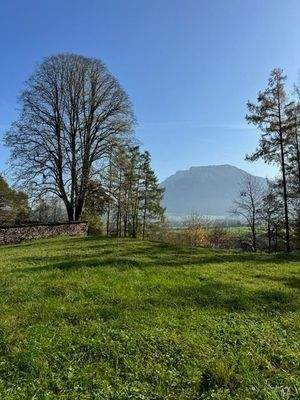 herrlicher Kaiserblick