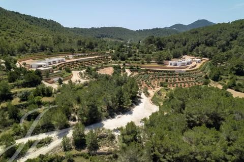 Sant Josep de sa Talaia Häuser, Sant Josep de sa Talaia Haus kaufen