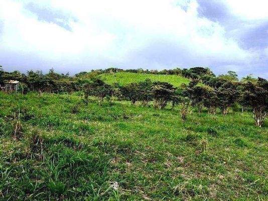 ImmoScout360 Farmland 2,5 ha von unten