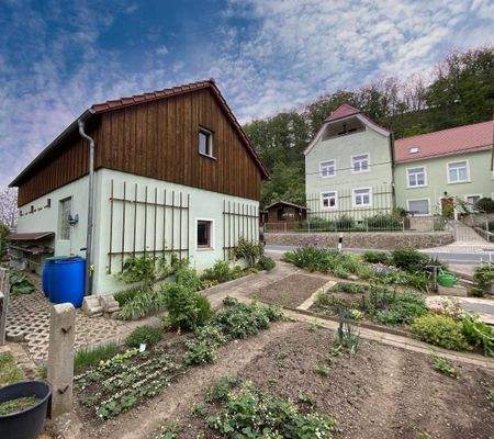 Blick vom Garten zum Haus