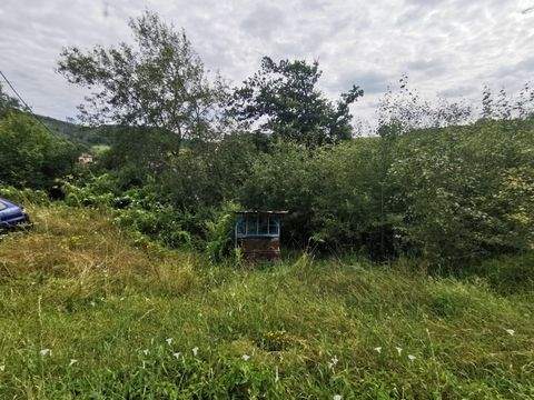 Bad Laasphe Grundstücke, Bad Laasphe Grundstück kaufen